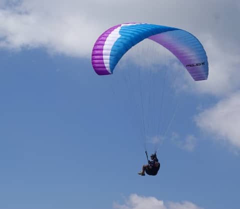 Ozone Mojo 5 Beginner