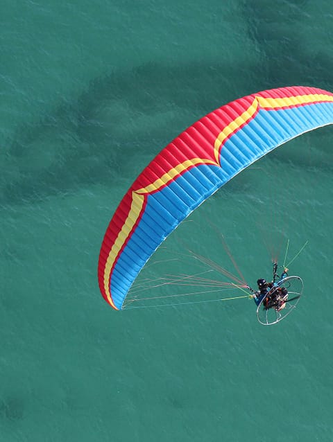 Ozone Freeride