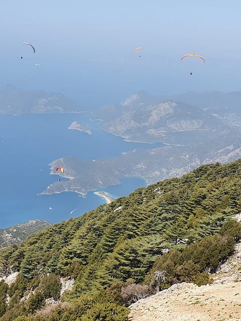 Turkey SIV Course