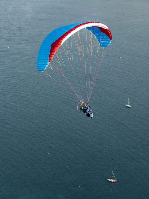 Gin Condor 2