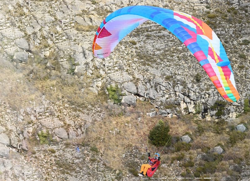 Bgd Breeze - Image 6